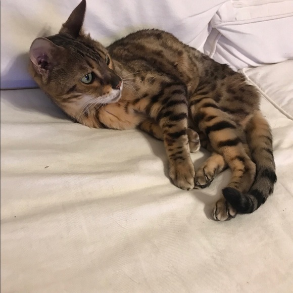 Meet your Posher, Ryleena - Picture 11 of 13